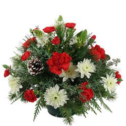 Carnations - Festive Basket arrangement