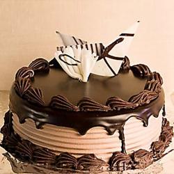 Send Dark Chocolate Delight Cake To Jamnagar