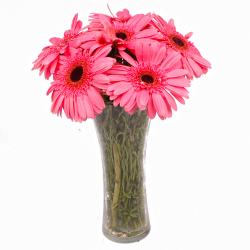 Retirement Gifts for Father in Law - Six Stem of Pretty Pink Gerberas in Vase