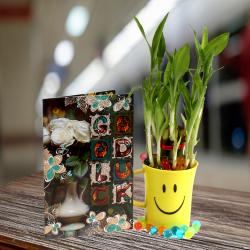 Indian Chocolates - Good Luck Bamboo Plant with Good Luck Card.