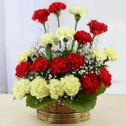 Send Arrangement of Red and Yellow Carnations To Pune