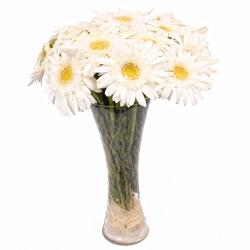 Flowers by Sentiments - Fifteen White Gerberas in Glass Vase