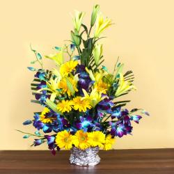 Gerberas - Exotic Arrangement of Mix Flowers