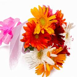 Send Tissue Wrapped 10 Mix Gerberas Bouquet Online To Greater Noida