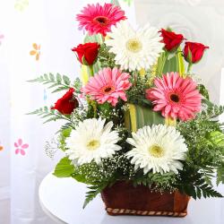 Get Well Soon Flowers - Gerberas and Roses in a Basket