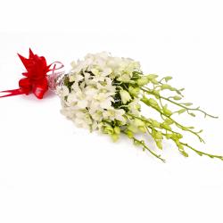 Orchids - Exotic 6 White Orchids Hand Tied Bunch