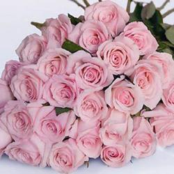 Get Well Soon Flowers - 24 Pink Roses Bouquet