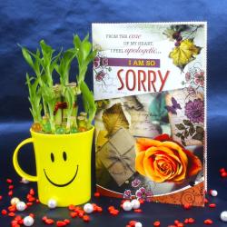 Gift by Occasions - Sorry Greeting Card with Good Luck Plant