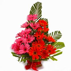 Gifts for Clients - Basket Arrangement of Pink and Orange Gerberas