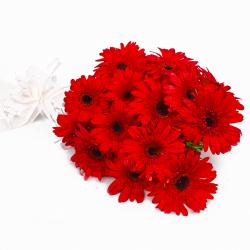 Gifts for Grand Father - Fantastic Fifteen Red Gerberas Bouquet