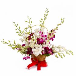 Exotic Flowers Arrangement - Basket of Dozen Multi Color Orchids