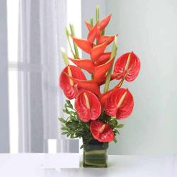 Birthday Flowers - Anthurium Vase Arrangement