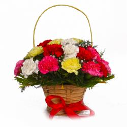 Send Basket Arrangement of Twenty Colorful Carnations To Gandevi