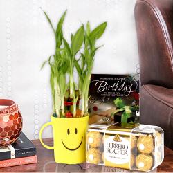 Birthday Gifts - Good Luck Bamboo Plant, Birthday Greeting Card With Ferrero Rocher Box.